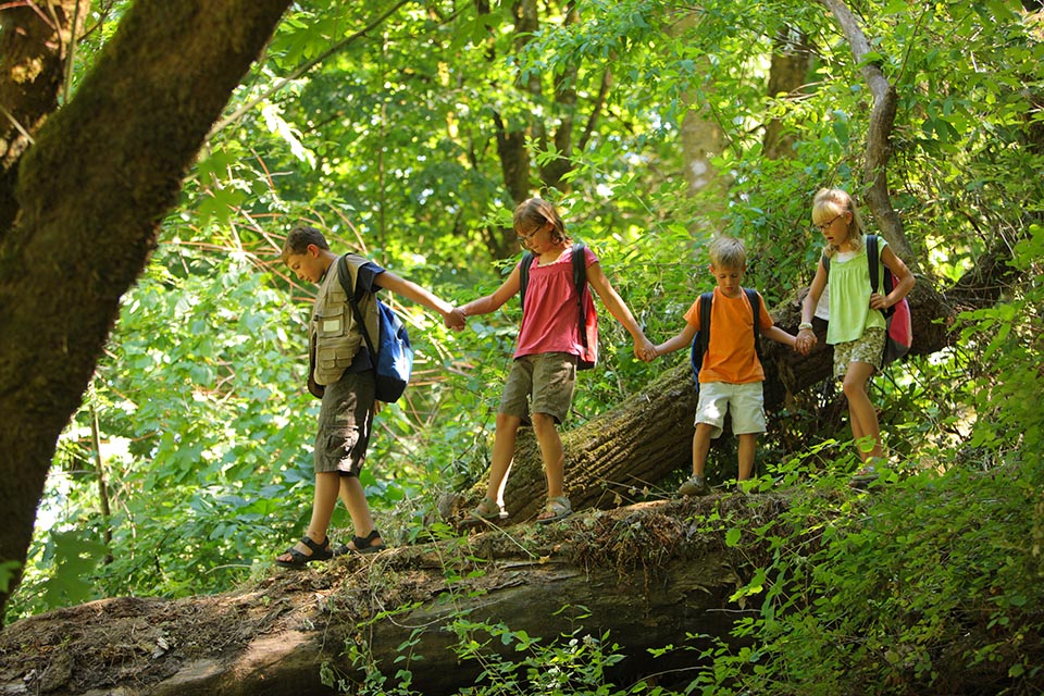 Kids in wilderness walking across log